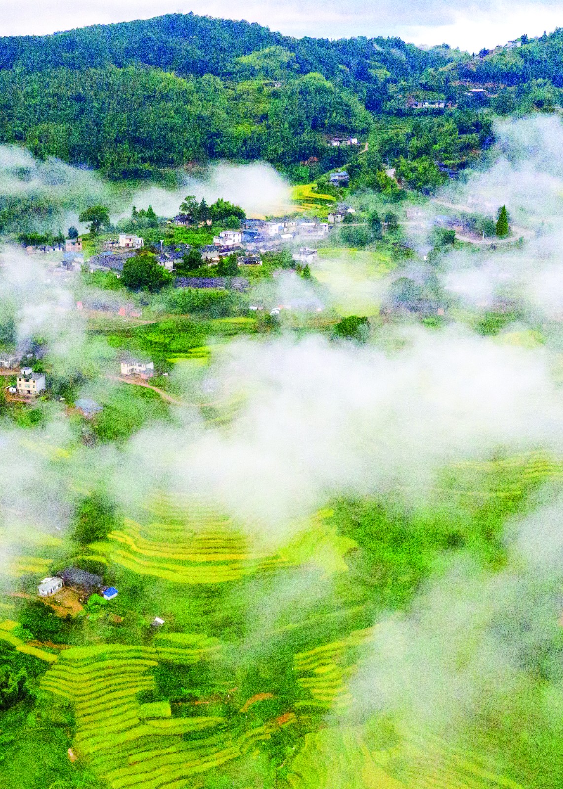 雾迷村舍　赖建明摄于龙门滩霞碧村.jpg