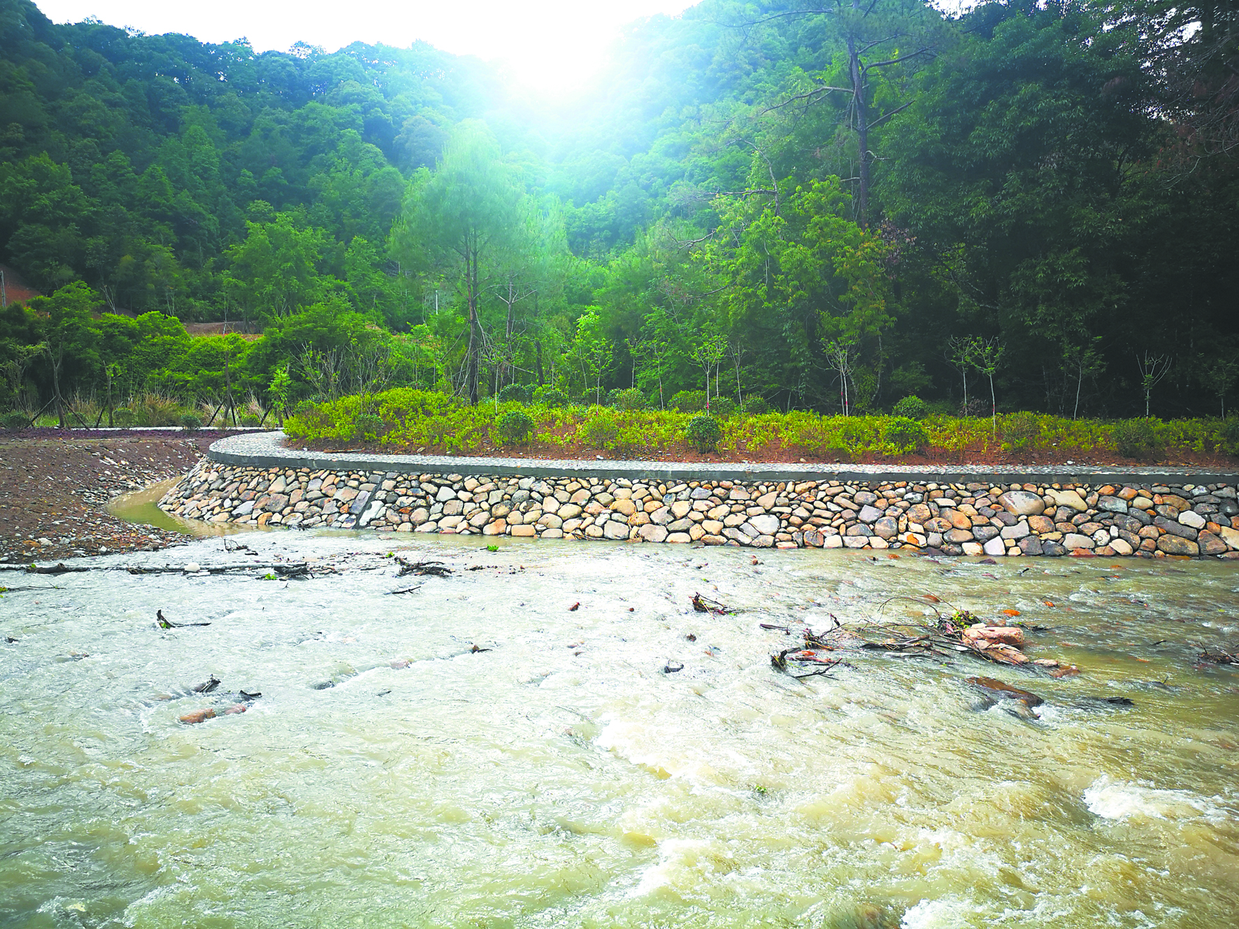 河道护岸与自然景观相得益彰.jpg