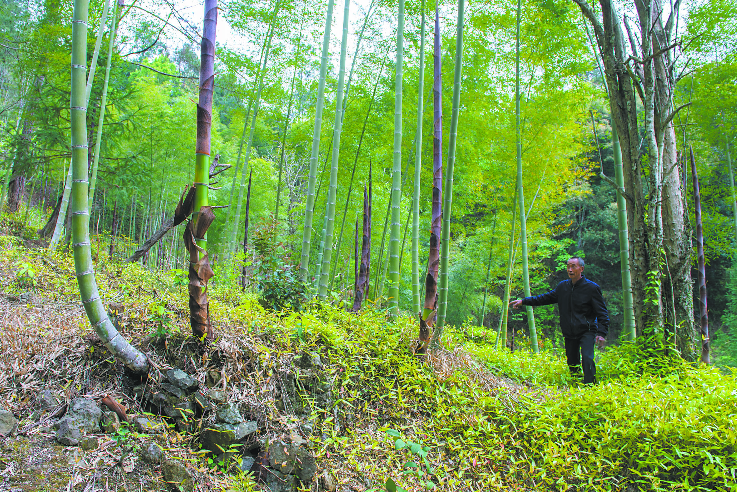 十字格交通站曾稳旧居遗址　.jpg