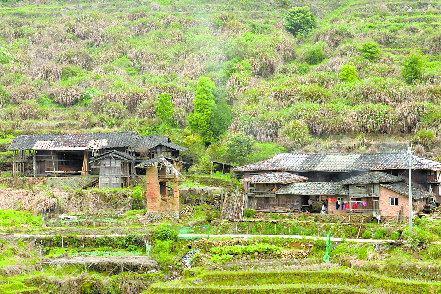 毛厝村内的哨楼.jpg