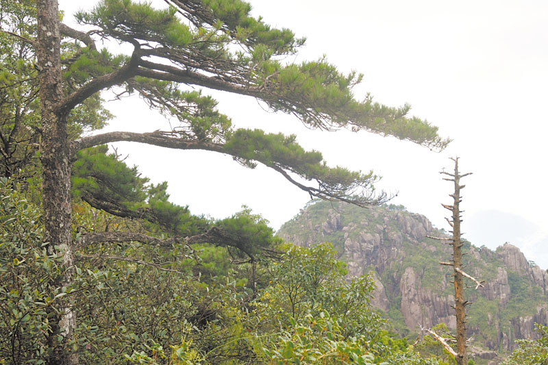 从蜂仔山看山下风景.jpg