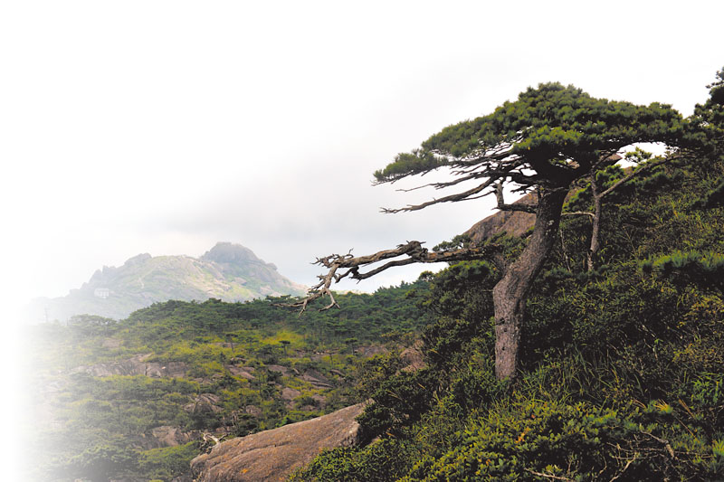 从蜂仔山看石牛山.jpg