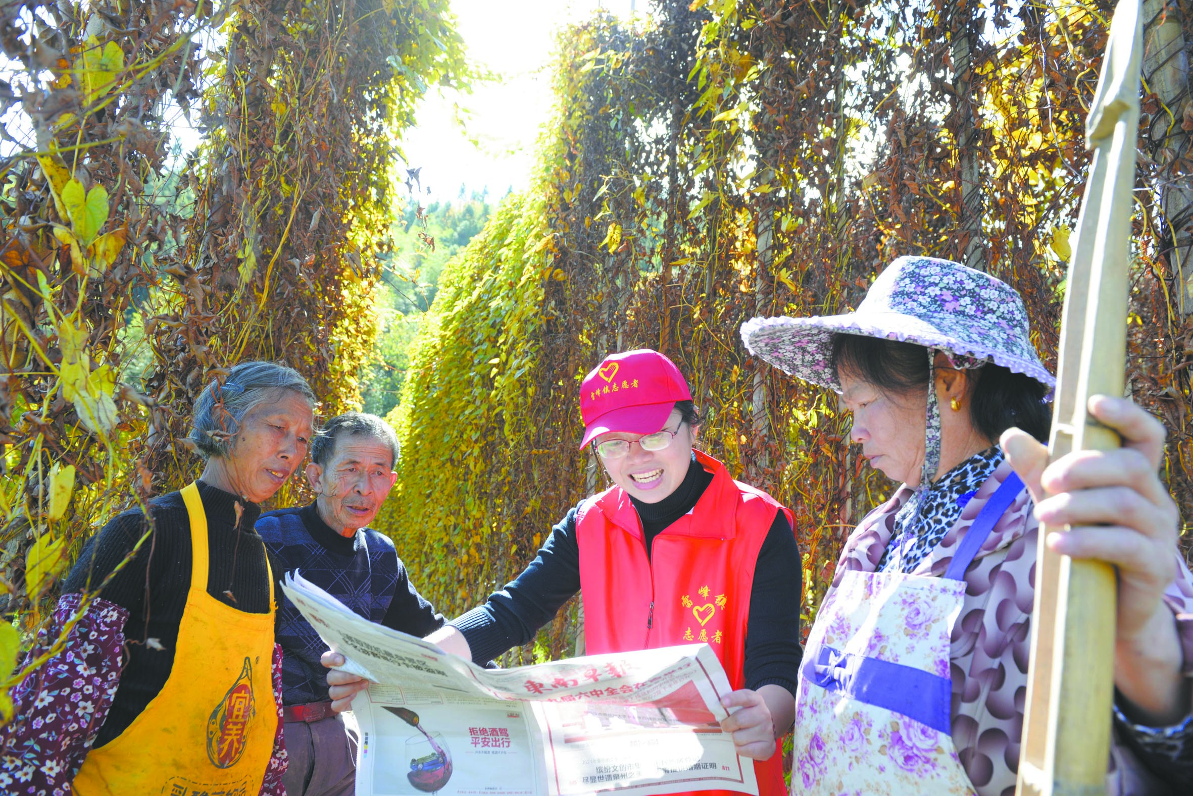 雷峰镇契合温泉淮山丰收之际，深入田间地头宣传十九届六中全会精神。.jpg