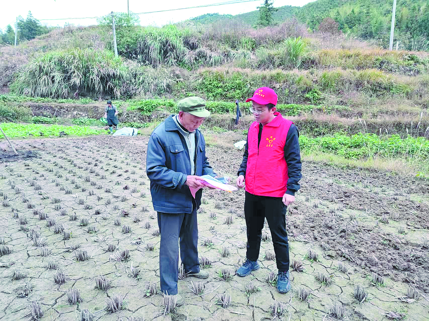 雷峰镇志愿者到田间地头发放农作物防寒防冻宣传资料.jpg