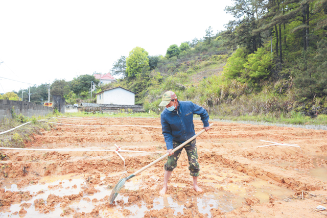 推进农田标准化建设.jpg