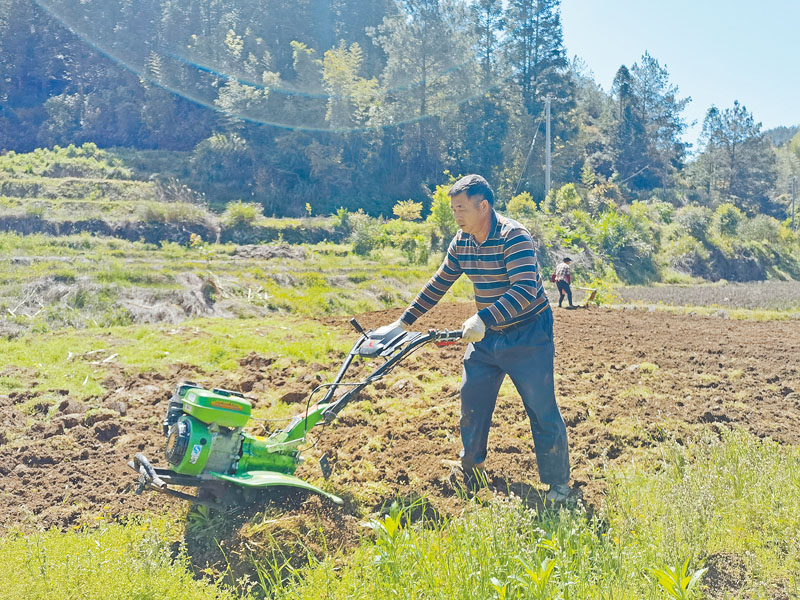 农户正在开垦土地种植生姜.jpg