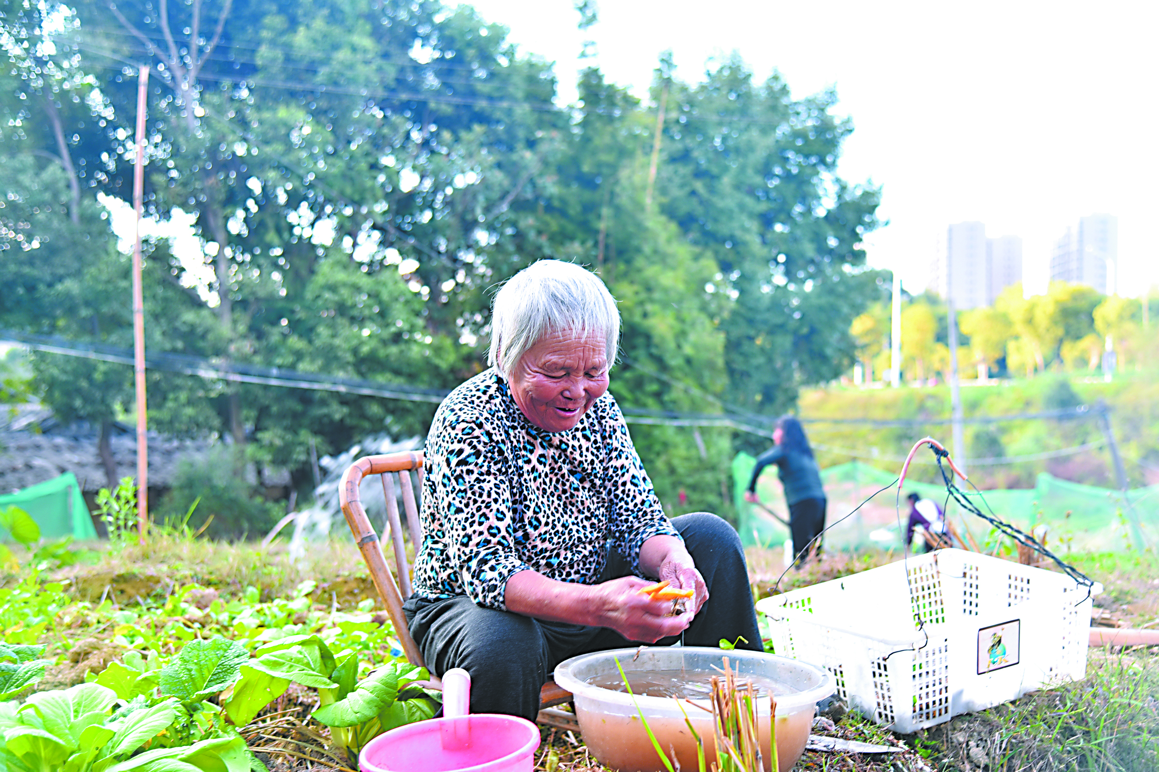 丁墘村村民地里忙农活.jpg