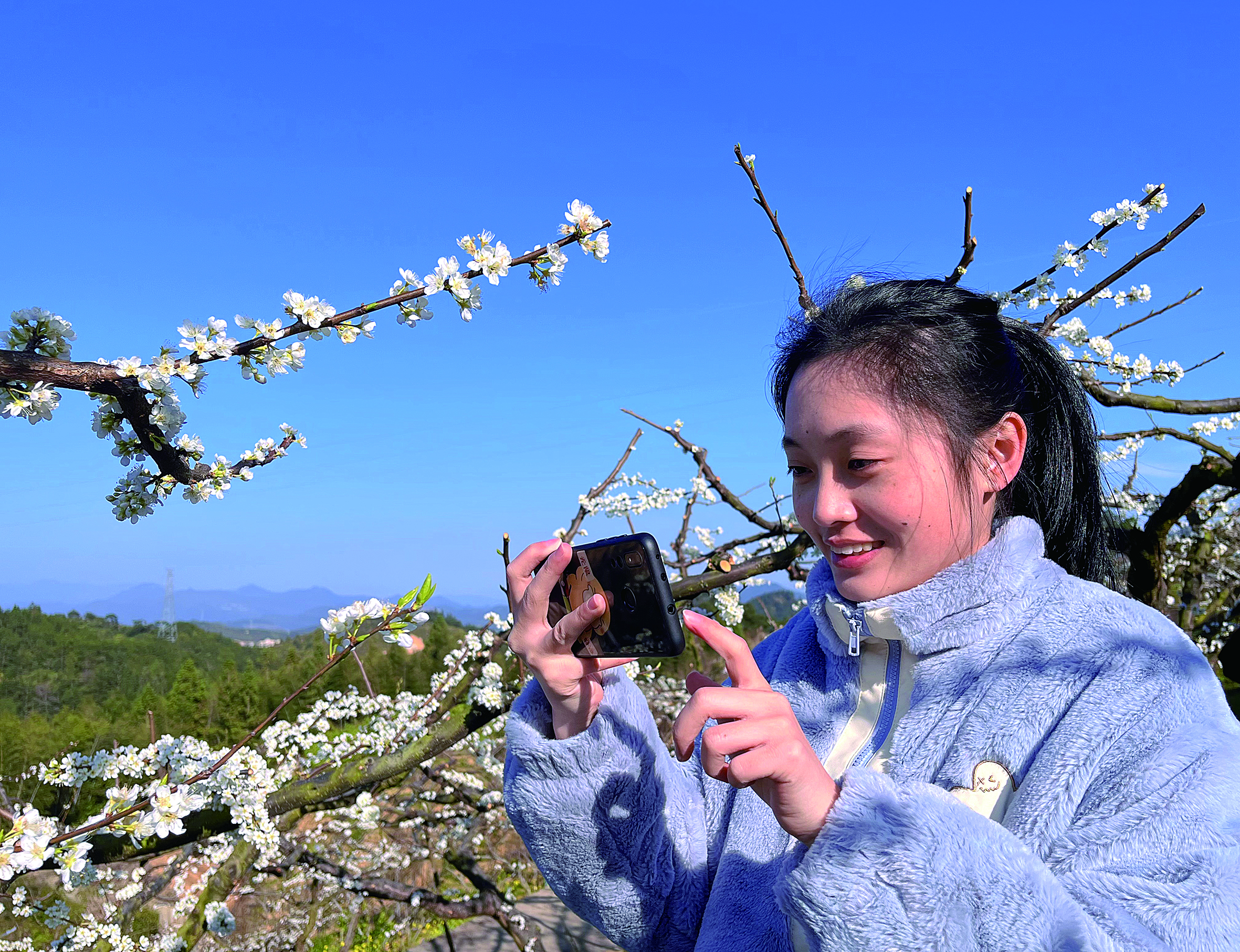 踏春赏花.jpg