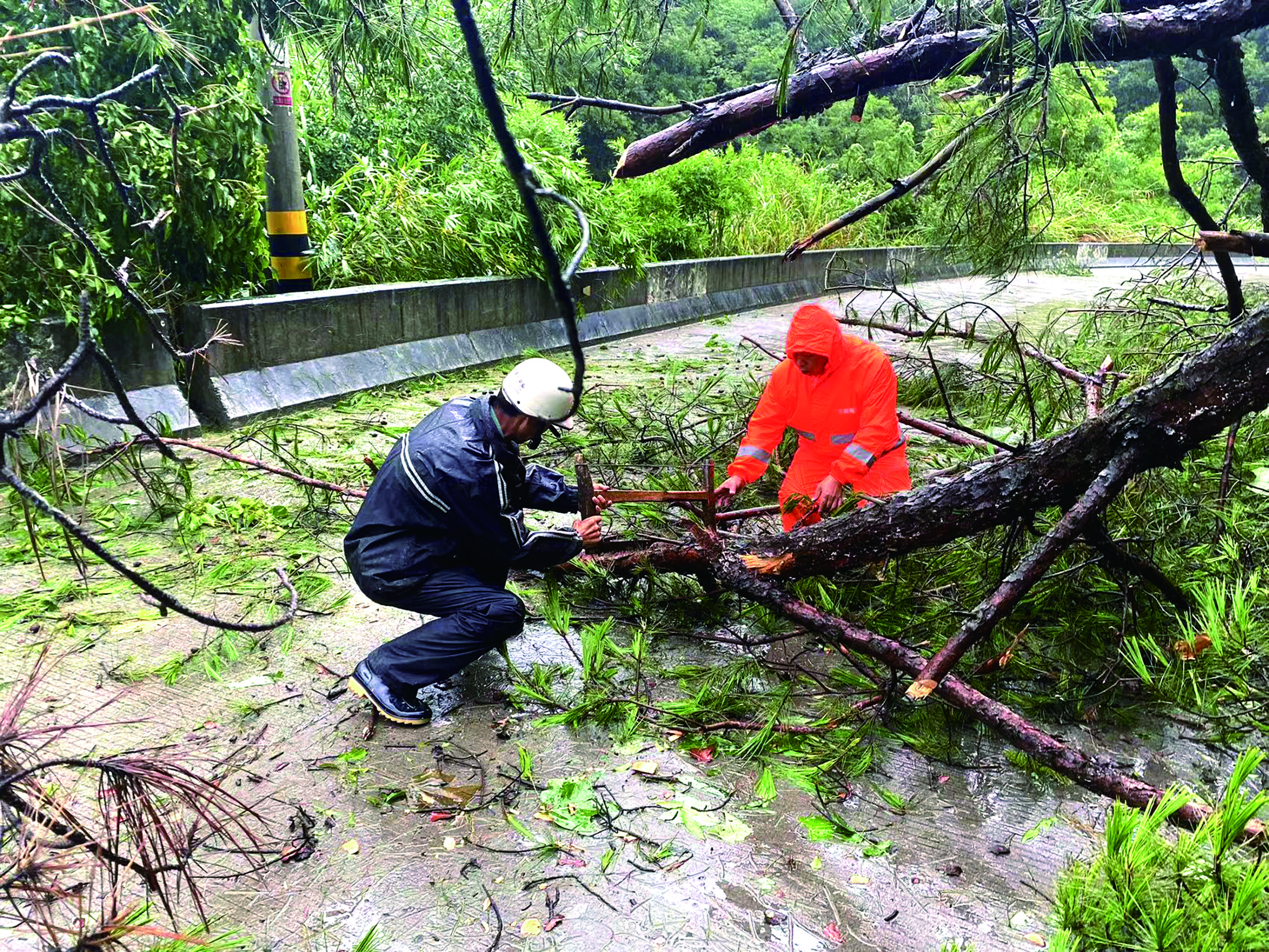 7月28日，三班镇奎斗村“两委”干部在清理道路.jpg