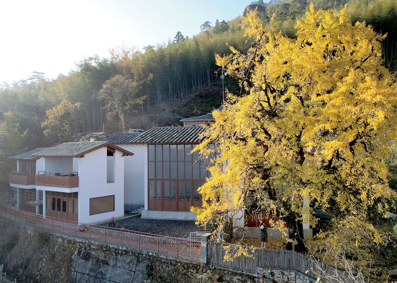 秋天庭院  叶振生摄于杨梅安村丁荣角落.jpg