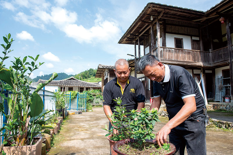 专业农技人员指导村民中草药种植管理.jpg