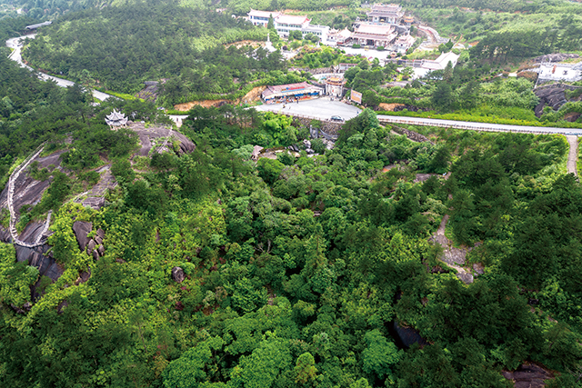 小蜡古树群位于德化九仙山景区 (1).jpg