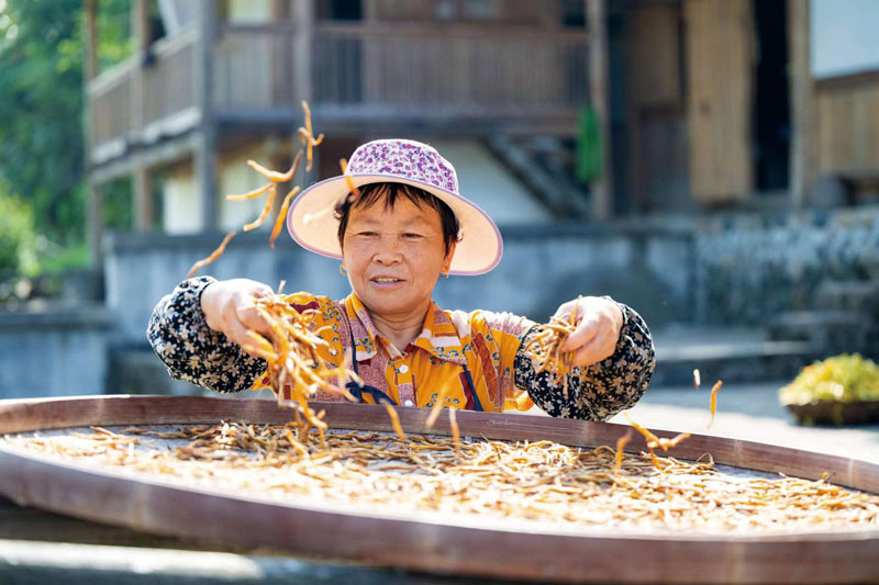 村民在自家院子晾晒黄花菜(赖建明摄).jpg