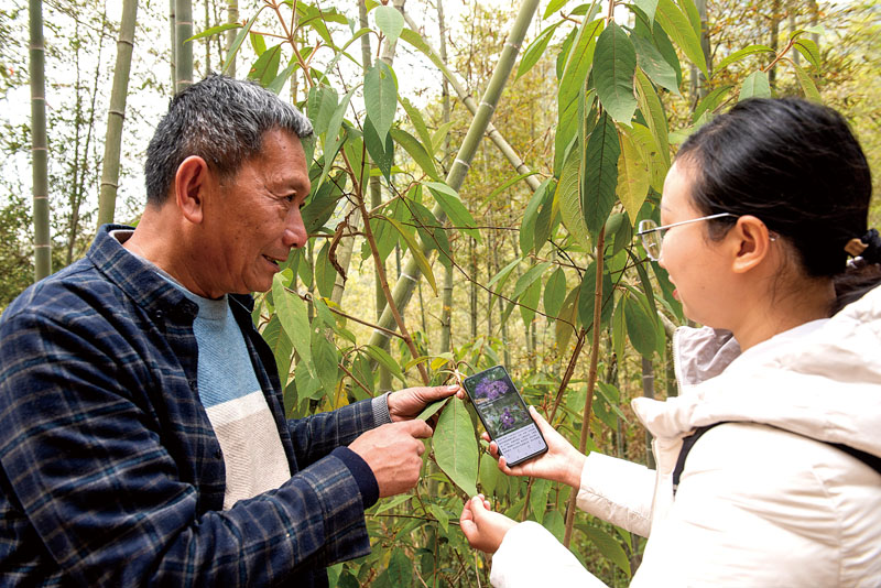 百草园研学基地正加速成型.jpg