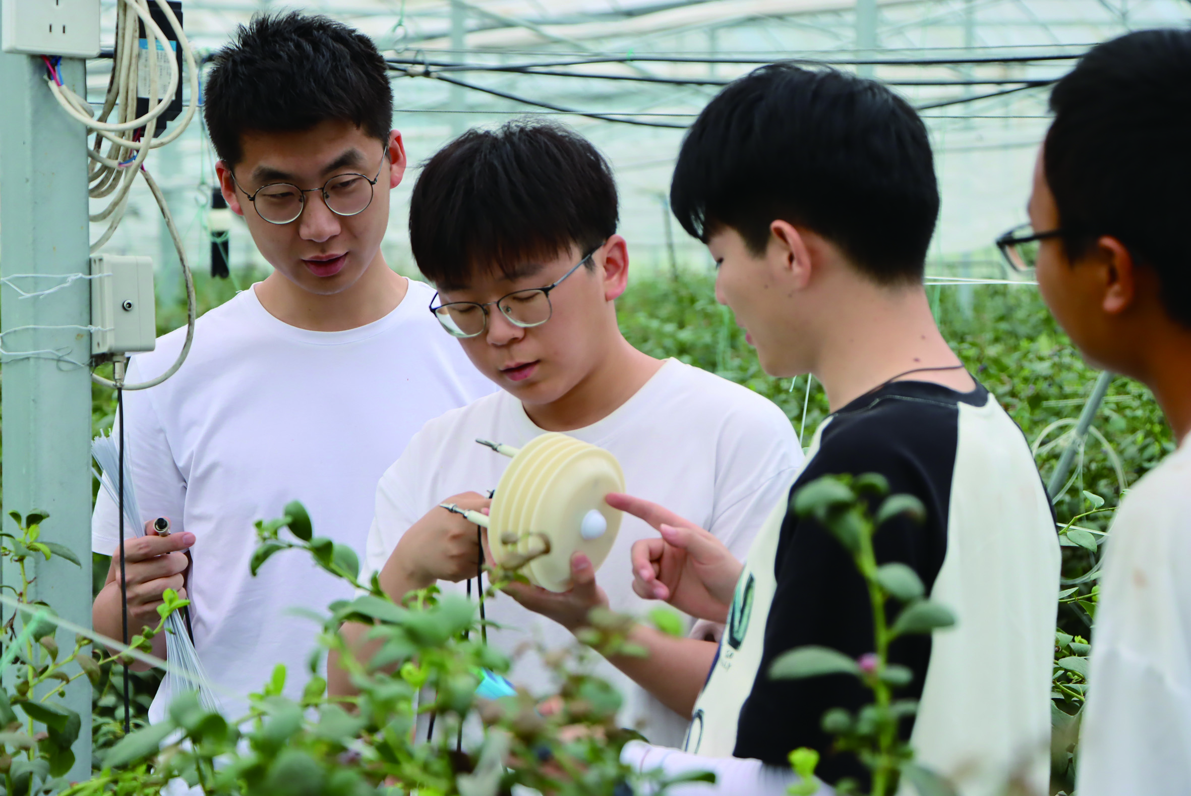 技术员到蓝莓种植基地查看设备使用情况.jpg